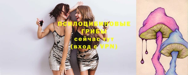 марки lsd Бородино